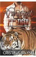 Tempted By The Tiger