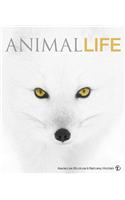 Animal Life