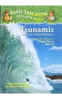 Tsunamis and Other Natural Disasters