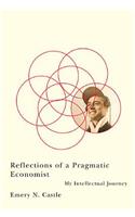 Reflections of a Pragmatic Economist