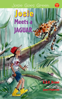 Josie Meets a Jaguar, 2