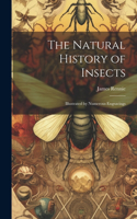 Natural History of Insects