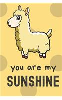 You Are My Sunshine