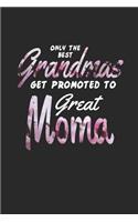 Only the Best Grandmas Get Promoted to Great Moma