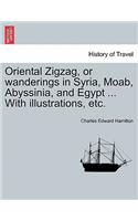 Oriental Zigzag, or Wanderings in Syria, Moab, Abyssinia, and Egypt ... with Illustrations, Etc.