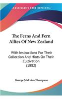 Ferns And Fern Allies Of New Zealand