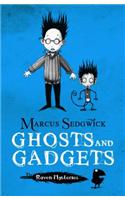 Raven Mysteries: Ghosts and Gadgets: Book 2(Raven Mysteries)