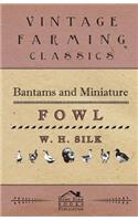 Bantams And Miniature Fowl