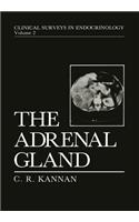 Adrenal Gland