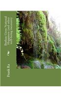 Buthan Gross National Happiness (and other well-being measures)