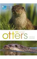 RSPB Spotlight: Otters