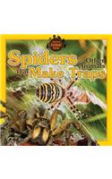 Spiders and Other Animals That Make Traps