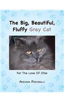 Big, Beautiful, Fluffy Gray Cat