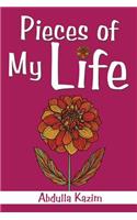 Pieces of My Life