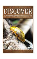 Super Strong and Powerful Insects - Discover