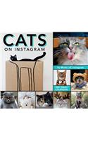 2021 Cats on Instagram Boxed Daily Calendar