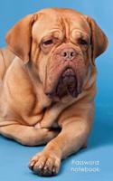 Password Notebook: Small Internet Address and Password Logbook / Journal / Diary - French Mastiff Cover