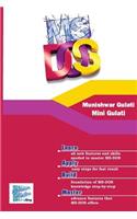 Using MSDOS
