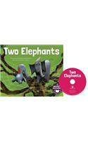 Two Elephants