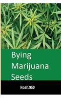 Buying Marijuana Seeds
