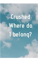 Crushed Where do I belong?