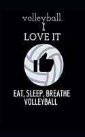 Volleyball I LOVE IT: Daily Notebook for More Planning to Improve Your Skils