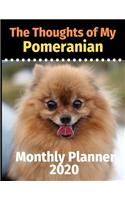 The Thoughts of My Pomeranian