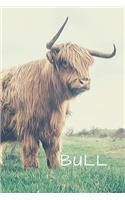 Bull