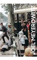 Joel Meyerowitz: Where I Find Myself: A Lifetime Retrospective
