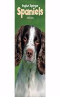 ENGLISH SPRINGER SPANIELS SLIM D 2020