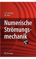 Numerische Strömungsmechanik
