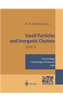 Small Particles and Inorganic Clusters