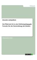 Der Wald als Ort in der Erlebnispädagogik. Vorteile für die Entwicklung des Kindes