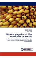 Micropropagation of Elite Genotypes of Banana