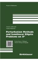 Perturbation Methods and Semilinear Elliptic Problems on R Degreesn: (English)