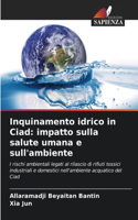 Inquinamento idrico in Ciad: impatto sulla salute umana e sull'ambiente