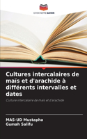 Cultures intercalaires de maïs et d'arachide à différents intervalles et dates