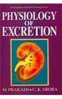 Physiology Of Excretion