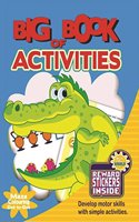 Big Book Of Activity