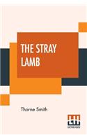 Stray Lamb