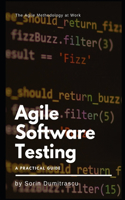Agile Software Testing