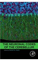 Neuronal Codes of the Cerebellum