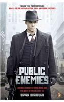 Public Enemies: America's Greatest Crime Wave and the Birth of the FBI, 1933-34