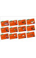 Read Write Inc. Phonics: Orange Set 4 Core Storybooks (Mixed Pack of 12)