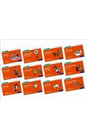 Read Write Inc. Phonics: Orange Set 4 Storybooks Mixed Pack of 12