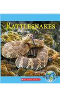 Rattlesnakes
