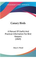 Canary Birds