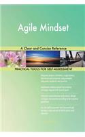 Agile Mindset A Clear and Concise Reference