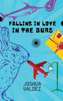 Falling In Love In The Burg