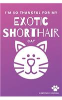 I'm So Thankful For My Exotic Shorthair Cat Gratitude Journal: Cute Pink And Purple 100 Page Daily Diary With Doodle Space For Teen Girls, Women & Kids.
